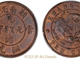 湖南省造光绪元宝当十铜元背广西飞龙试铸样币