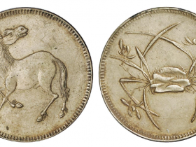 四川十文型马兰白铜币