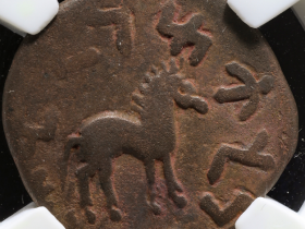 和田马钱真品图